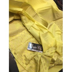 IG1027 Lite weight Tussar pattu