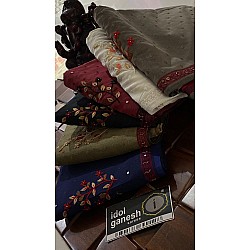 IG2173 Pure handloom chanderi 