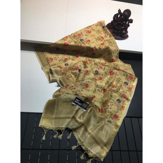 IG2189 Lite weight maheswari