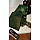 BOTTLE GREEN 