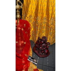 IG2667 Beautiful half sarees