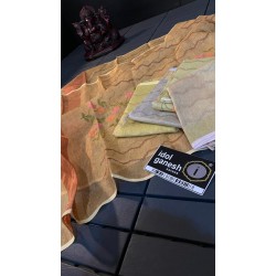 IG3300 Pure handloom tissue duppatta