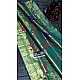 IG4150 lite weight paitani sarees