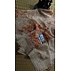 IG5571  Lite weight organza sarees  