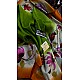 IG6454 pure handloom pure silk / tussar 