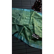 IG6780lite weight tussar sarees 