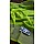 PARROT GREEN 